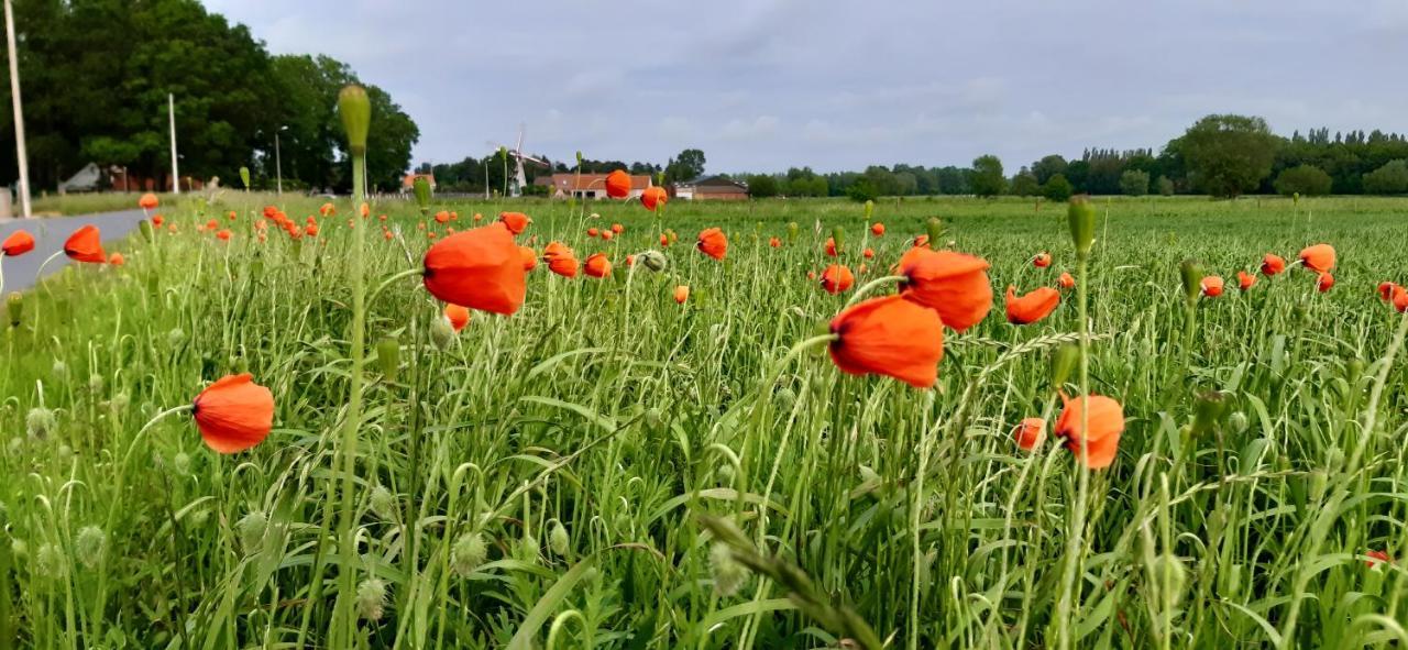 Zee-Van-Tijd Oudenburg Zewnętrze zdjęcie