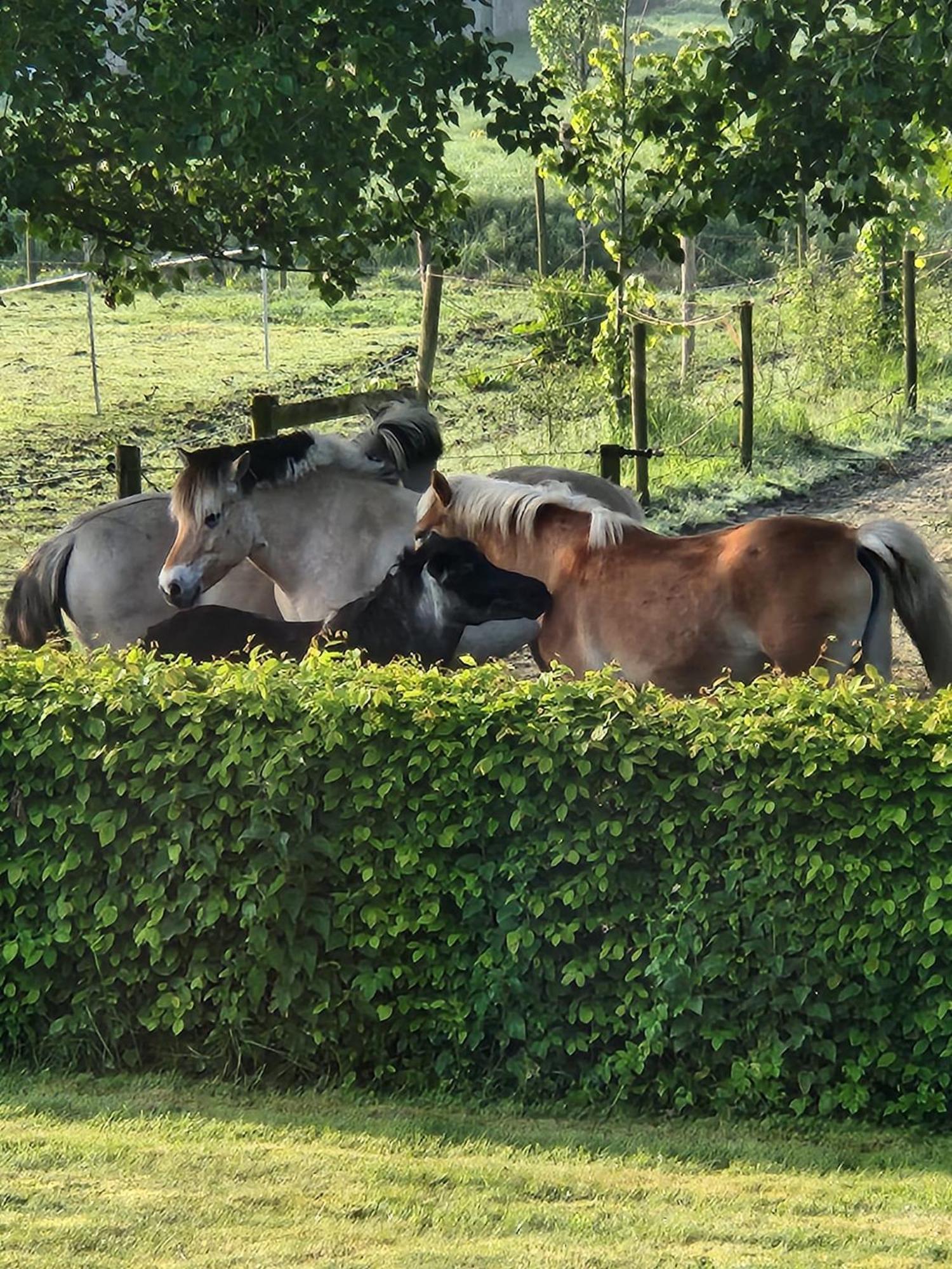 Zee-Van-Tijd Oudenburg Zewnętrze zdjęcie